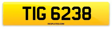 TIG 6238