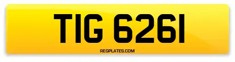 TIG 6261