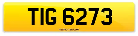 TIG 6273