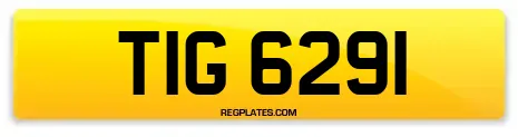 TIG 6291