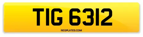 TIG 6312