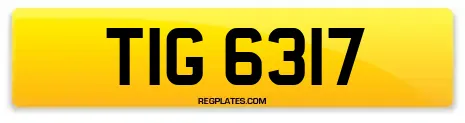 TIG 6317