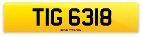 TIG 6318