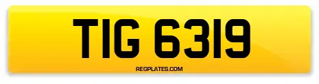 TIG 6319