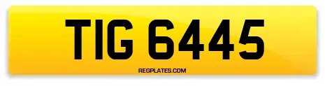 TIG 6445