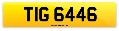 TIG 6446
