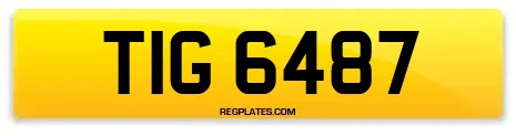 TIG 6487