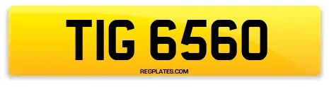 TIG 6560
