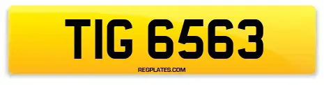 TIG 6563