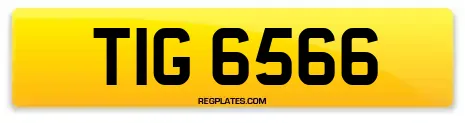 TIG 6566