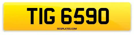 TIG 6590