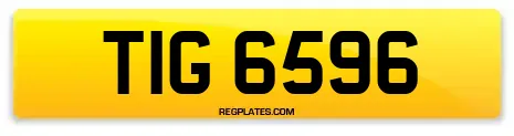 TIG 6596