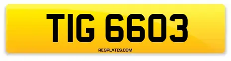 TIG 6603