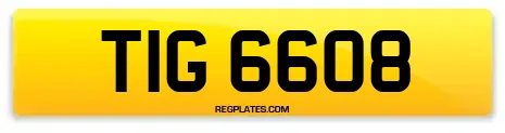 TIG 6608