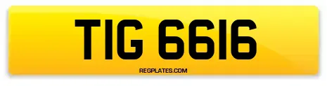 TIG 6616