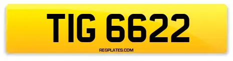 TIG 6622