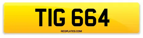 TIG 664