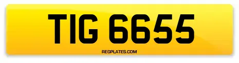 TIG 6655