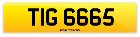 TIG 6665