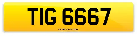 TIG 6667