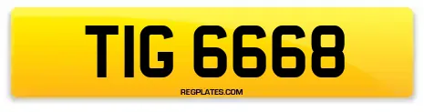 TIG 6668