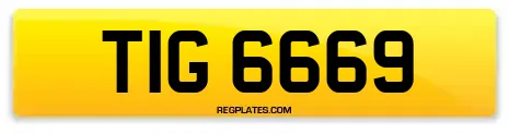TIG 6669