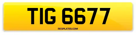 TIG 6677