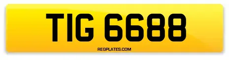 TIG 6688