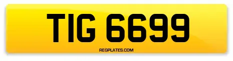 TIG 6699