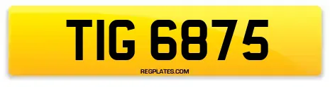 TIG 6875