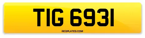 TIG 6931
