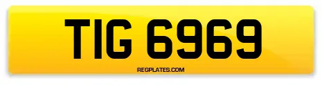 TIG 6969