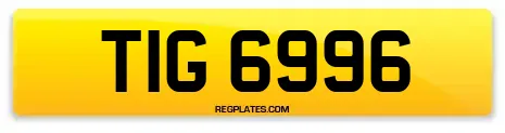 TIG 6996