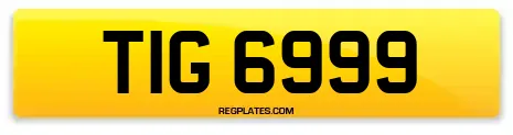 TIG 6999