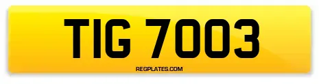 TIG 7003