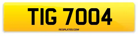 TIG 7004