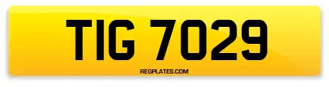 TIG 7029