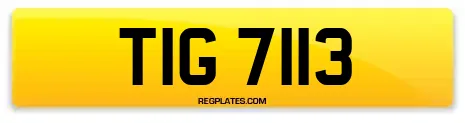 TIG 7113