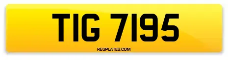 TIG 7195