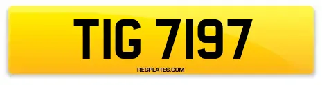 TIG 7197