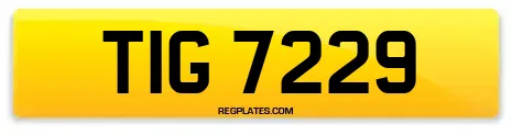 TIG 7229