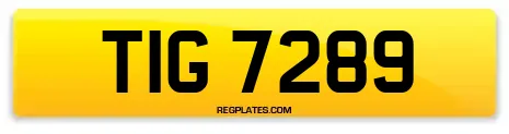 TIG 7289