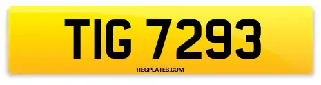 TIG 7293