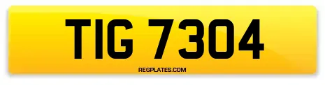 TIG 7304
