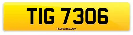 TIG 7306