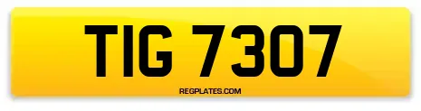 TIG 7307
