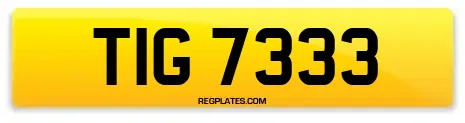 TIG 7333