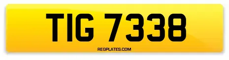 TIG 7338