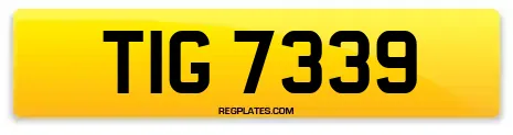 TIG 7339