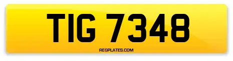 TIG 7348